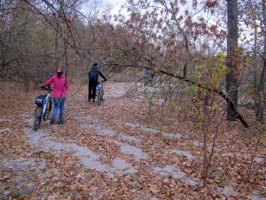 IMG_6611M.JPG