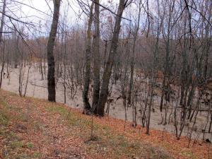 IMG_6614M.JPG