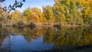 WP_20171008_15_41_03_Pro.jpg