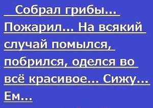 Грибы.jpeg