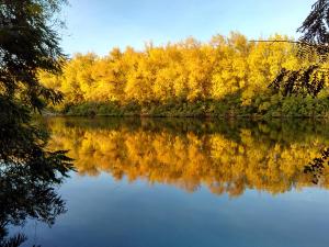 IMG_20171007_162859_HDR.jpg