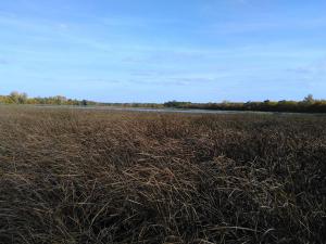 IMG_20171007_143835.jpg