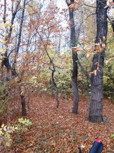 IMG_2139.JPG