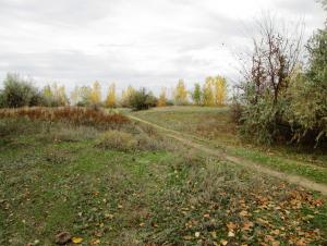 IMG_2130.JPG