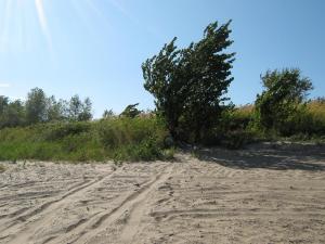 IMG_5533.JPG