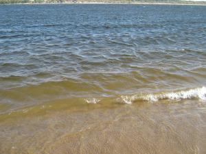 IMG_5543.JPG