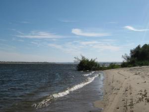 IMG_5538.JPG