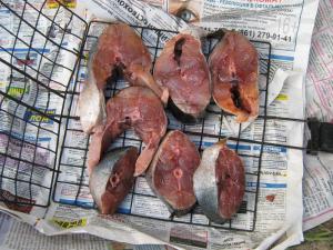 IMG_5563.JPG