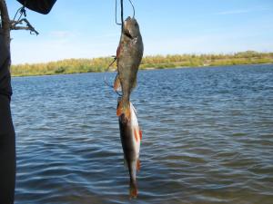 IMG_5557.JPG