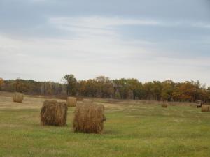 IMG_3024.JPG