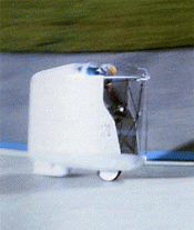 World_record_thumb_medium175_207.gif