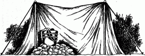 image47.gif