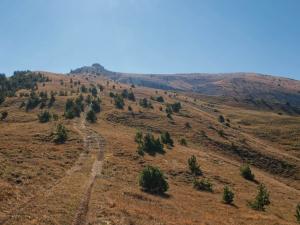 100923_75 copy.jpg