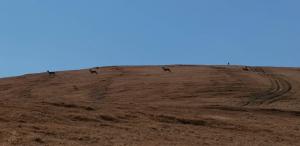 100923_79 copy.jpg