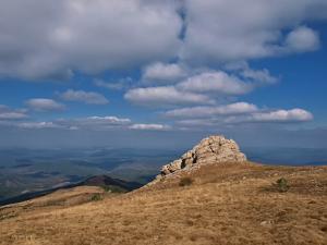 100923_83 copy.jpg
