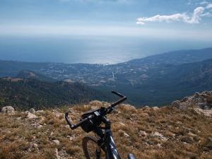 100923_103 copy.jpg