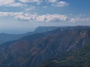 100923_99 copy.jpg