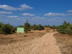 100923_105 copy.jpg