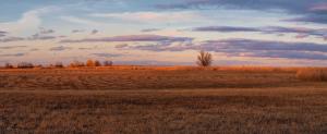 Untitled_Panorama4.jpg