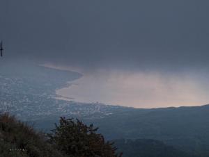 100924_117 copy.jpg