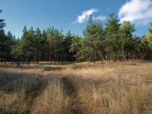 100924_142 copy.jpg