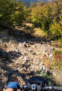Untitled_Panorama32.jpg