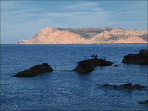 100925_220.jpg