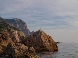 100925_275 copy.jpg