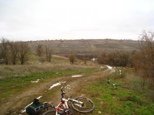IMG_8355a.jpg