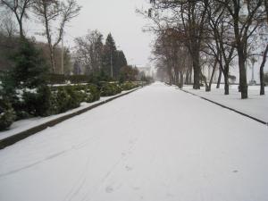 IMG_8540a.jpg