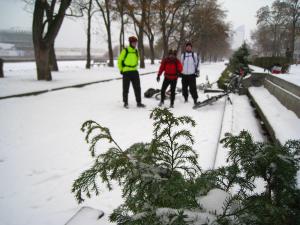 IMG_8553a.jpg