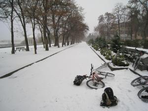 IMG_8564a.jpg