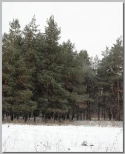 DPP_0087.JPG