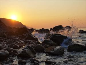 20110914_330.jpg