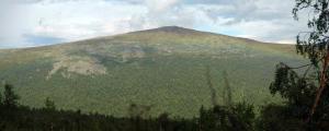 20120726_170906_Group 2 images.jpg
