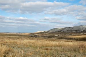 DSC_0049.jpg