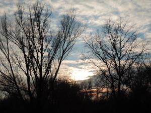 DSCN0852-1.jpg