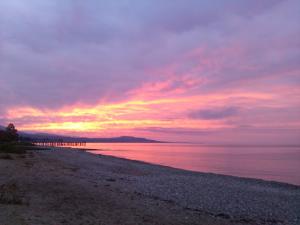IMG_20131028_073945.jpg