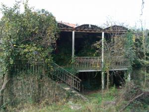 IMG_20131028_102312.jpg