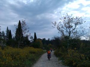 IMG_20131028_104559.jpg