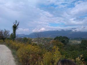 IMG_20131028_110238.jpg
