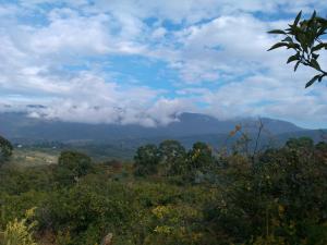 IMG_20131028_110242.jpg