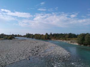 IMG_20131028_122306.jpg