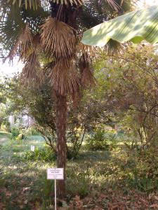 IMG_20131028_145956.jpg