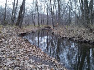 IMG_20131116_114520.jpg