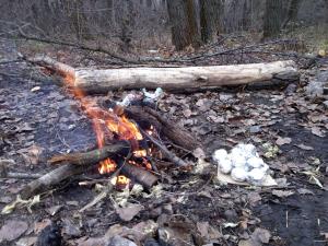 IMG_20131116_114852.jpg