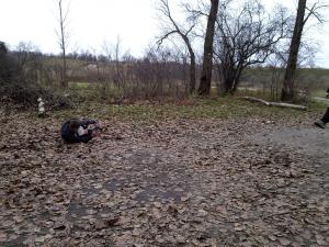 IMG_20131116_124504.jpg