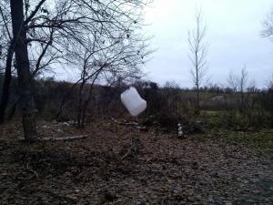 IMG_20131116_124412.jpg