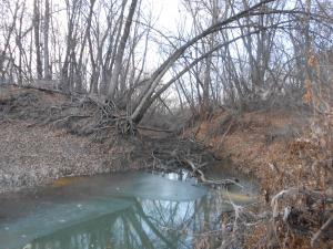 DSCN1188.JPG