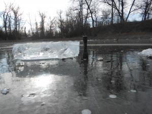 DSCN1205.JPG